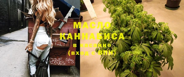 мяу мяу мука Гусь-Хрустальный