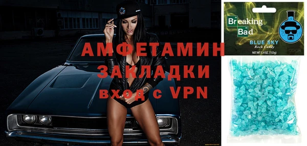 дмт Дмитров