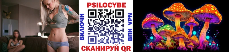 Псилоцибиновые грибы MAGIC MUSHROOMS  Купить закладки  Пушкино 